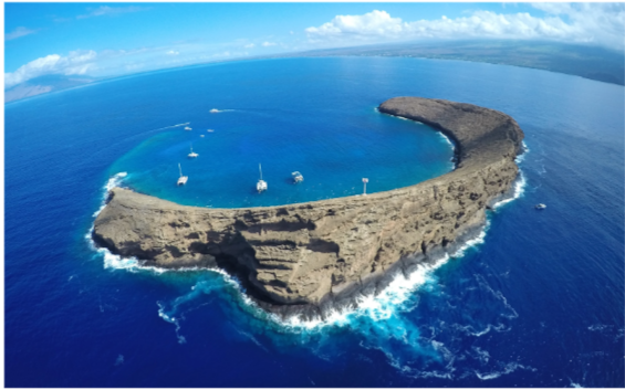 Planning Your Trip? Why Molokini Crater Snorkeling Deserves a Spot on Your Itinerary